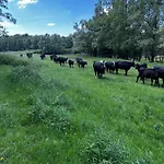 Uilehoeve Aan De Waal * Zennewijnen