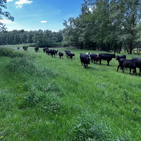 Uilehoeve Aan De Waal * Zennewijnen
