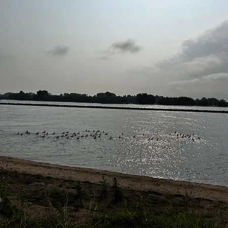 Apartament Uilehoeve Aan De Waal Zennewijnen