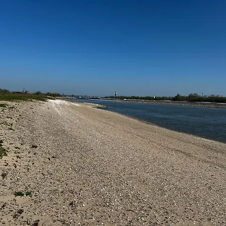 Uilehoeve Aan De Waal *