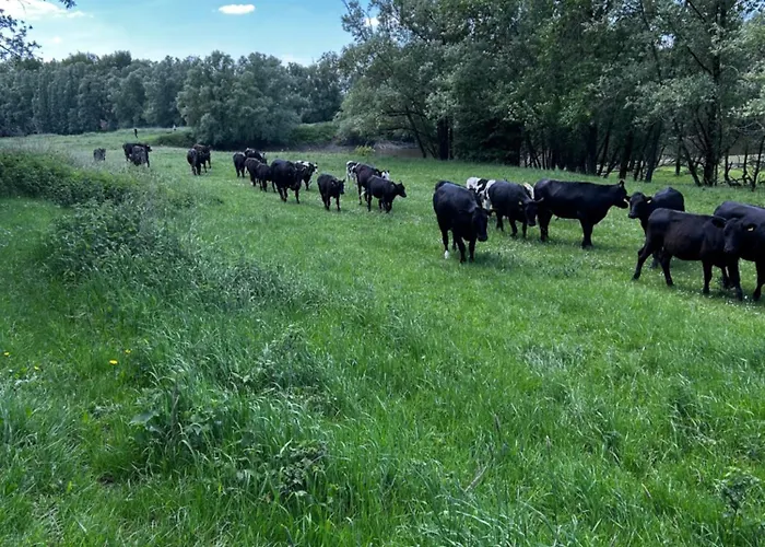 Uilehoeve Aan De Waal * Zennewijnen