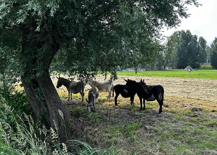 Apartament Uilehoeve Aan De Waal Zennewijnen
