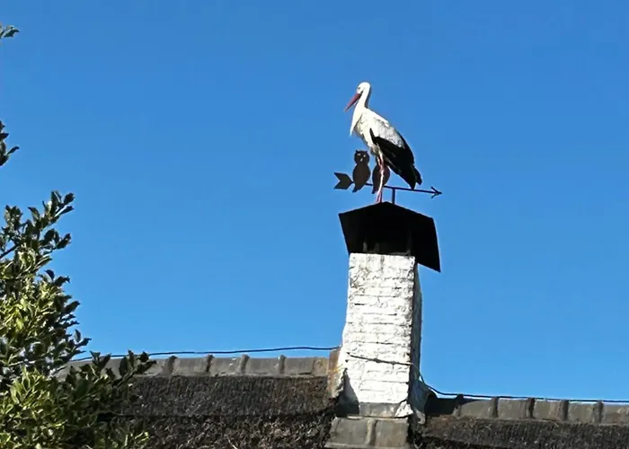 Apartament Uilehoeve Aan De Waal *