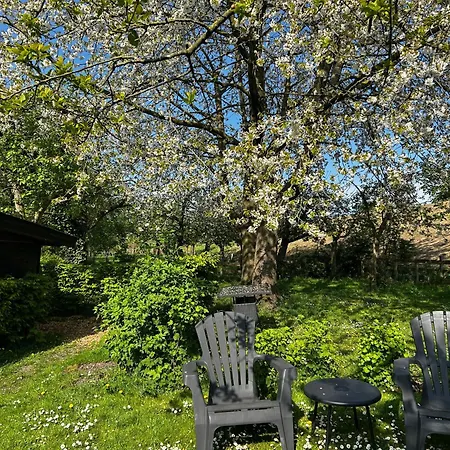 公寓 Uilehoeve Aan De Waal