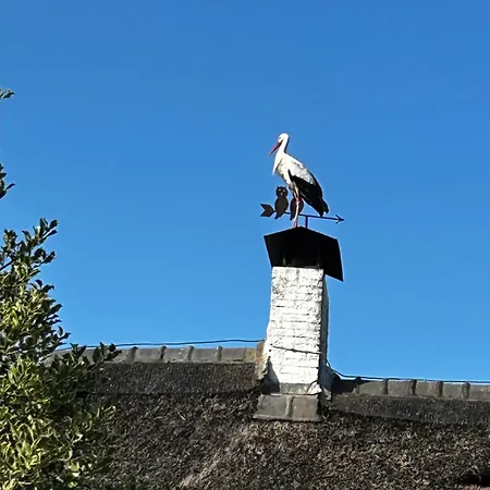 Apartman Uilehoeve Aan De Waal *