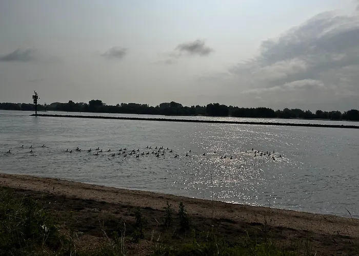 Apartman Uilehoeve Aan De Waal Zennewijnen